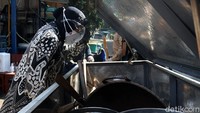 Risma mendapati dapur umum itu kekurangan kompor gas.