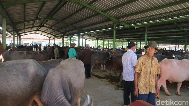 Pasar Hewan Gulang Kudus jelang Idul Adha 2021