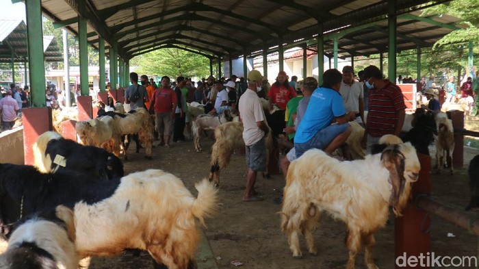 Pasar Hewan Gulang Kudus jelang Idul Adha 2021