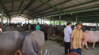Pasar Hewan Gulang sempat ditutup dua kali saat pasaran karena lonjakan kasus Corona di Kudus.