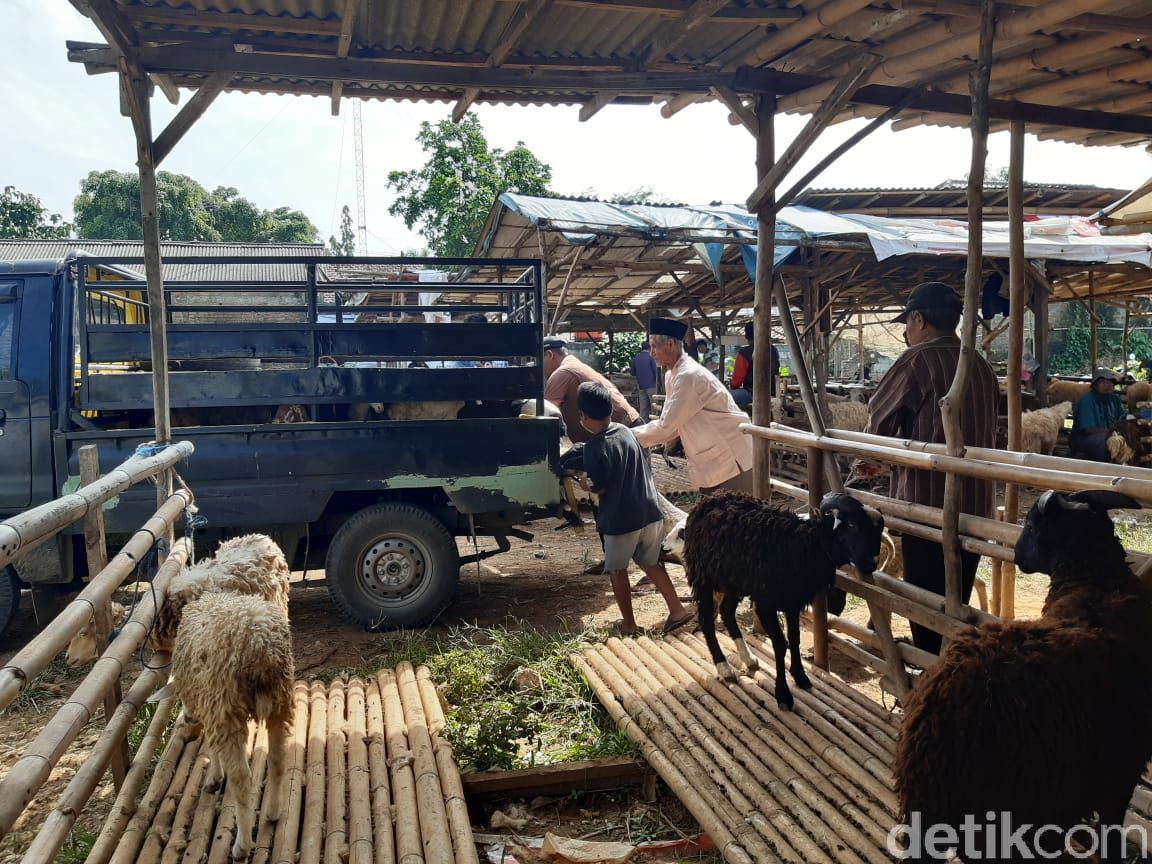 Pedagang hewan kurban kesulitan berjualan di masa pengetatan