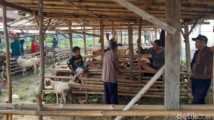 Pedagang hewan kurban kesulitan berjualan di masa pengetatan