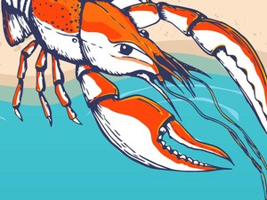 Larangan Ekspor Digugat ke MA, Bagaimana Potensi Benih Lobster?