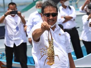 Trenggono Larang Ekspor Benur, Akademisi: Ini Jalan yang Benar
