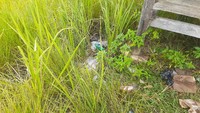 Sampah plastik bertebaran dibiarkan begitu saja. Tidak ada penjual makanan dan minuman sejak pandemi. Traveler pun enggan datang ke sini. Sayang padahal, danau ini cantik sekali. (Hari Suroto/Istimewa)
