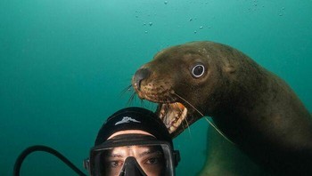 Semoga penyelam ini baik-baik saja ya. Foto: dok Bored Panda