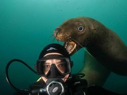 Deretan Penampakan di Foto yang Keren dan Bikin Ngakak