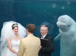 Deretan Penampakan di Foto yang Keren dan Bikin Ngakak