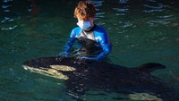 Terlihat dua orang sukarelawan tengah mengawasi anak paus Orca tersebut.