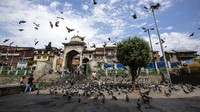 Ada ratusan merpati yang bermain di halaman masjid dan menarik perhatian pengunjung.  