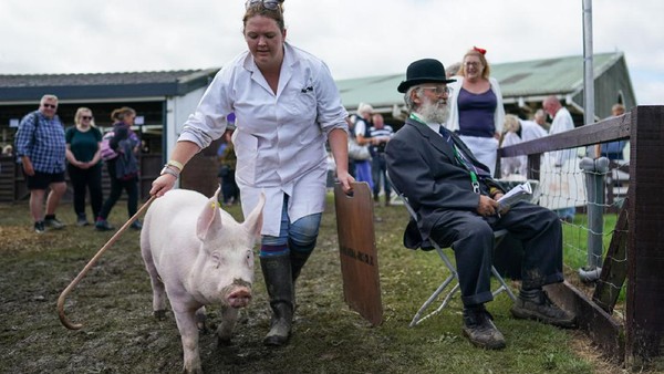 The Great Yorkshire Show, salah satu acara pertanian terbesar di negara itu,  