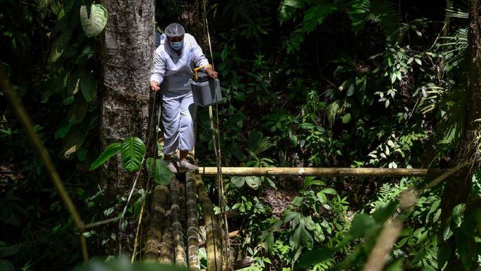 Jalan terjal dihadapi para nakes di Kolombia demi bisa berikan vaksin COVID-19 kepada warganya yang hidup di pedalaman. Salah satunya menembus hutan belantara.