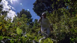 Jalan terjal dihadapi para nakes di Kolombia demi bisa memberikan vaksin COVID-19 kepada warganya. Salah satunya menembus hutan belantara.
