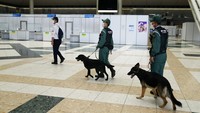 Dampak kasus positif COVID-19 di Indonesia yang terus meroket, pemerintah Jepang akan menyiapkan pesawat khusus untuk mengevakuasi warga negaranya dari Indonesia. Menteri Sekretaris Kabinet Jepang, Katsunobu Kato mengatakan hal itu disiapkan sebagai langkah antisipasi peningkatan kasus COVID-19 di Indonesia.AP/Jae C. Hong