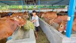 Jelang Idul Adha, Pasar Sapi di Boyolali Ramai