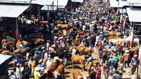 Pedagang dan pengunjung tampak memadati Pasar Hewan Jelok, Boyolali, Jawa Tengah.