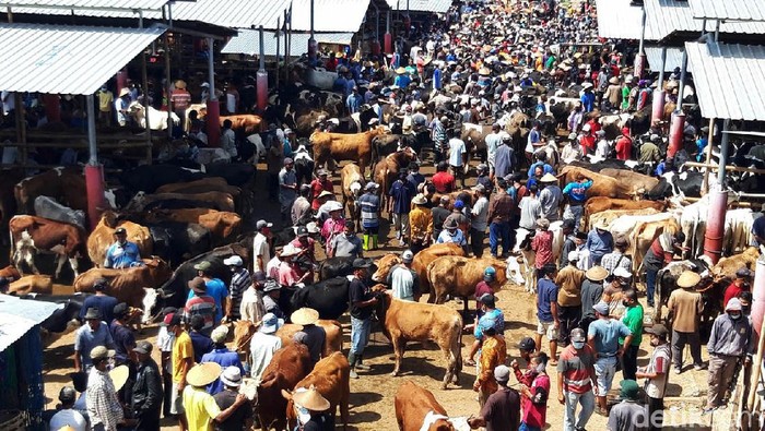 Menjelang Idul Adha, suasana di Pasar Hewan Jelok, Boyolali, ramai oleh pedagang dan pengunjung, Kamis (15/7). Transaksi hewan kurban pun mengalami peningkatan.
