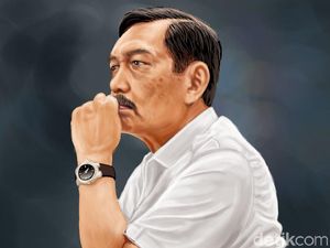 Luhut Bakal Audit LSM yang Sebarkan Berita Tidak Benar