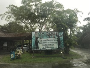 Ini Lho Konservasi Beruang Madu Indonesia, Kamu Bisa Adopsi Juga