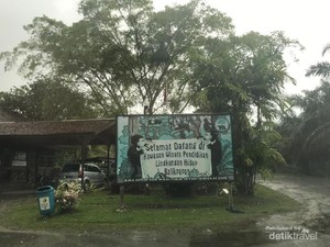 Ini Lho Konservasi Beruang Madu Indonesia, Kamu Bisa Adopsi Juga