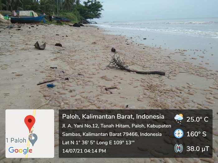 Pantai Venesia Sambas, Kalimantan Barat