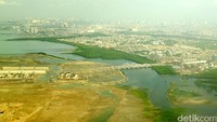 Di pulau reklamasi baru, angka itu cukup tinggi, hingga 80 milimeter, per tahun. Ari Saputra/detikcom.