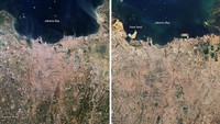 Nah, banjir menjadi semakin parah dengan perubahan fungsi area di pinggir sungai. Perubahan itu dicatat NASA lewat citra dari luar angkasa atau lndsat. Perbandingan landsat Jakarta pada tahun 1990 dan 2020 sangat mencolok. Dari foto itu nampak jelas evolusi Jakarta dalam tempo tiga dekade terakhir. Dok. NASA
