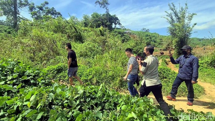 Sejumlah pekerja tambang emas asal China ngumpet di semak-semak saat didatangi petugas imigrasi