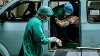 Penetapan level daerah tersebut mengacu pada indikator penyesuaian upaya kesehatan masyarakat dan pembatasan sosial dalam penanggulangan pandemi COVID-19 yang ditetapkan oleh Menteri Kesehatan. Getty Images