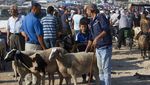 Sibuknya Warga Palestina Berburu Hewan Kurban