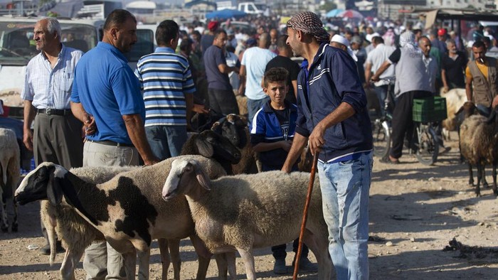 Jelang perayaan Idul Adha. sejumlah warga Palestina terlihat sibuk membeli hewan kurban di kawasan Nablus.