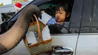 Perlu diketahui juga beberapa perayaan yang biasanya dilakukan dengan mengundang keramaian banyak orang kini harus dilakukan tanpa kerumunan. Lauren DeCicca/Getty Images