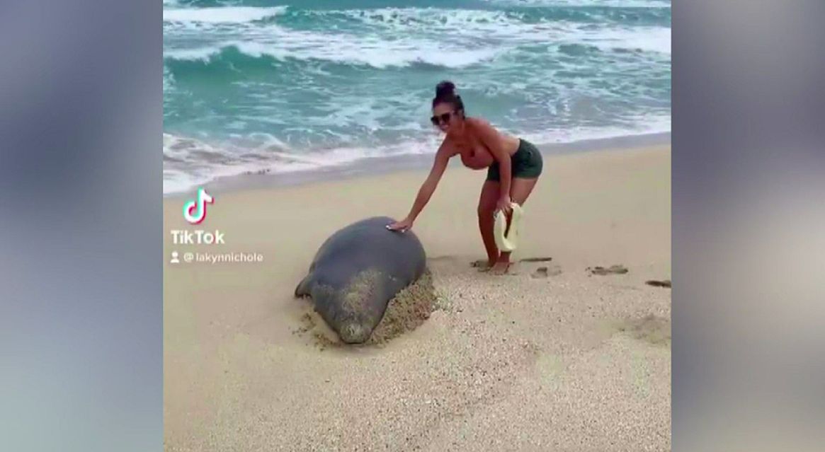 wanita pegang anjing laut langka