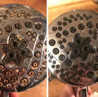 Jangan malas bersih-bersih pancuran mandi, ya. Foto: Dok. Reddit