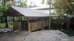 Berburu Hewan Kurban Sambil Berwisata di Kampung 99 Pepohonan
