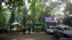 Berburu Hewan Kurban Sambil Berwisata di Kampung 99 Pepohonan