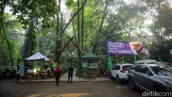 Kampung 99 Pepohonan di Depok tidak hanya menawarkan tempat wisata yang sejuk. Jelang Idul Adha, tempat ini juga menawarkan beragam hewan kurban.