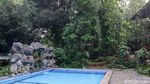 Berburu Hewan Kurban Sambil Berwisata di Kampung 99 Pepohonan