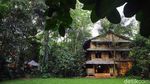 Berburu Hewan Kurban Sambil Berwisata di Kampung 99 Pepohonan