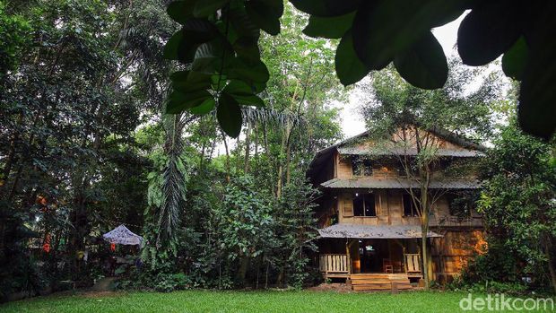 Kampung 99 Pepohonan di Depok tidak hanya menawarkan tempat wisata yang sejuk. Jelang Idul Adha, tempat ini juga menawarkan beragam hewan kurban.