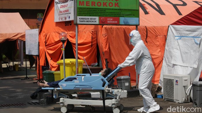 RI Masih Anteng di Level 1 Versi CDC AS, Selevel dengan Negara Mana Saja?