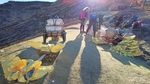 Hiking ke Kawah Ijen, Permata Biru khas Banyuwangi
