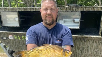 Di satu sisi ikan mas memang menarik sebagai peliharaan, tapi dianggap buruk bagi alam sekitar jika dilepas. Seluruh ikan mas pada dasarnya adalah spesies invasif di seluruh dunia. Di seluruh Amerika Utara, Australia, sebagian Eropa, mereka sungguh menyebar luas, cetus Przemek Bajer, akademisi University of Minnesota. Foto: Twitter