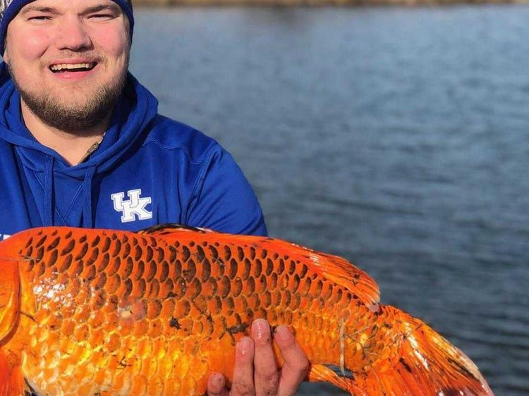 Foto: Wujud Ikan Berukuran Jumbo di Danau Minnesota