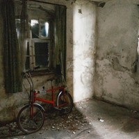 Melihat foto rumah ini bagaikan menyaksikan adegan film horor. Foto: Dok. terriblerealestateagentphotos