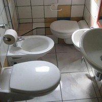 Kamar mandi di rumah ini punya tiga toilet sekaligus. Buang air kecil atau besar nggak khawatir lagi nggak kebagian tempat. Foto: Dok. terriblerealestateagentphotos