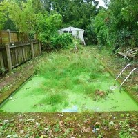 Maksud hati ingin menunjukkan rumah memiliki halaman luas dan kolam renang, namun kalau kondisinya sepertu di foto, apakah pembeli bisa lihat kolamnya. Foto: Dok. terriblerealestateagentphotos