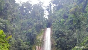 Menyambangi Curug Seribu, Permata di TN Gunung Halimun Salak