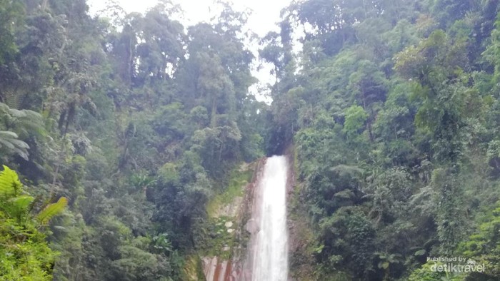air terjun yang tinggi menciptakan percikan air yang menjadikan area sekitar tetap lembab dan sejuk