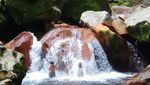 Menyambangi Curug Seribu, Permata di TN Gunung Halimun Salak